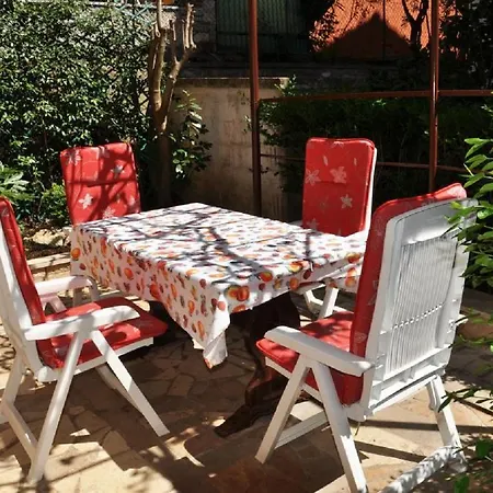 Apartment Bruna Novigrad Istria